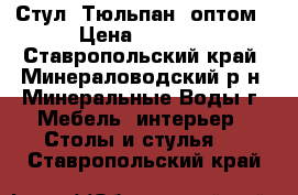 Стул “Тюльпан“ оптом › Цена ­ 1 500 - Ставропольский край, Минераловодский р-н, Минеральные Воды г. Мебель, интерьер » Столы и стулья   . Ставропольский край